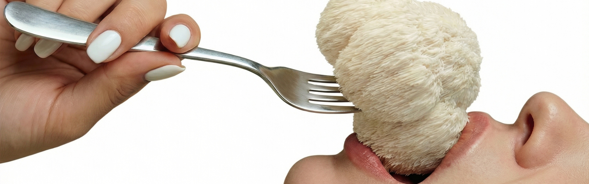 Attention Collapse: Why You Can't Focus Anymore (And It's Not You)