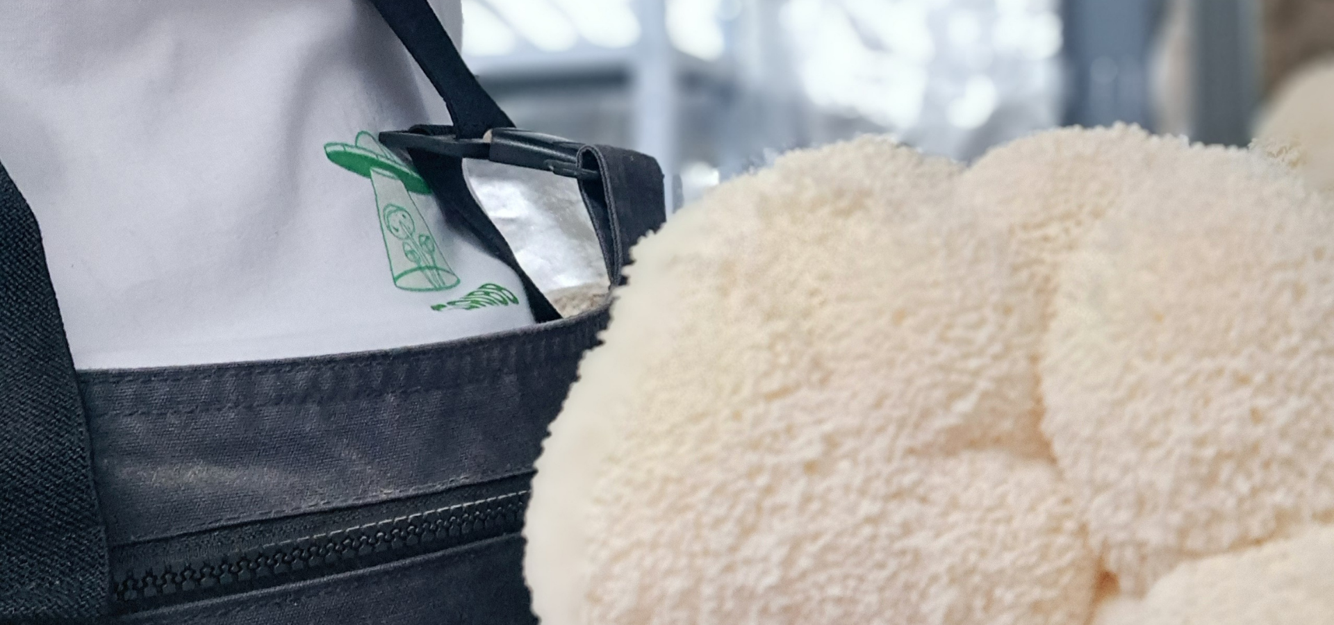 The Gribb Story: A Slow-Paced Journey to Portugal’s Only Certified Organic Functional Fungi