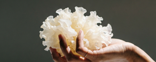 The Collagen Lie: Why Your Nervous System Matters More Than Collagen Supplements for Skin Health