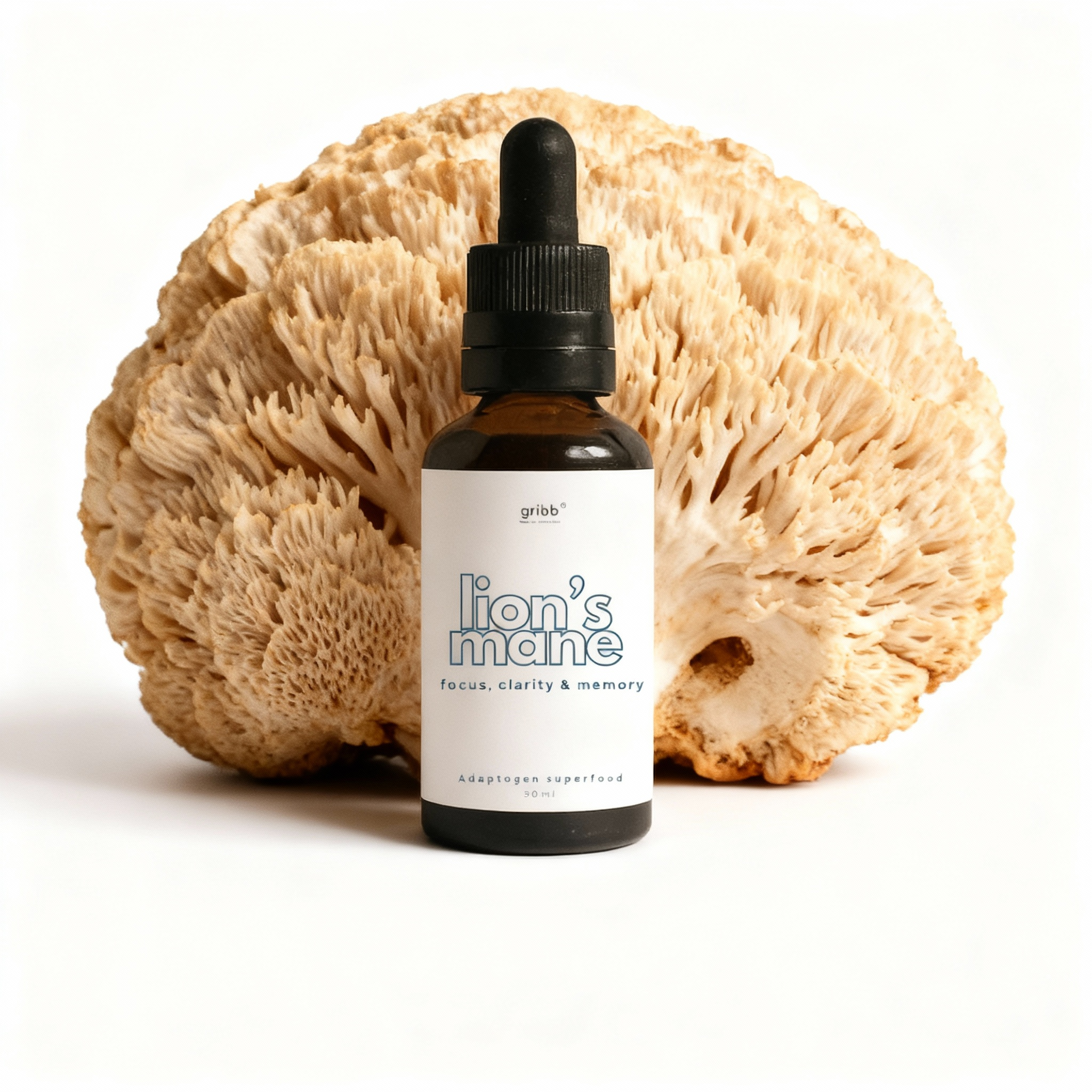 Lion's Mane Mushroom Tincture