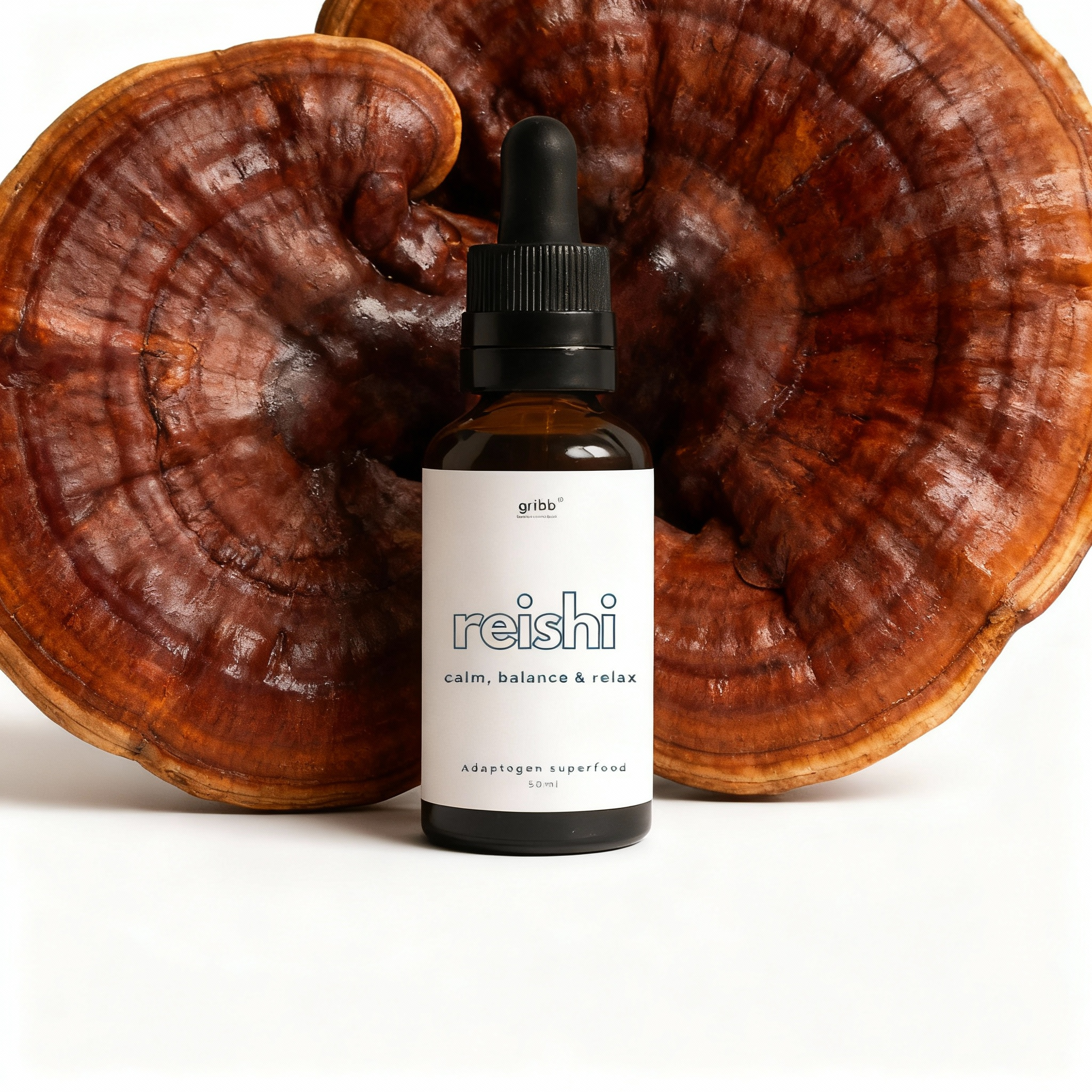 Reishi Mushroom Tincture