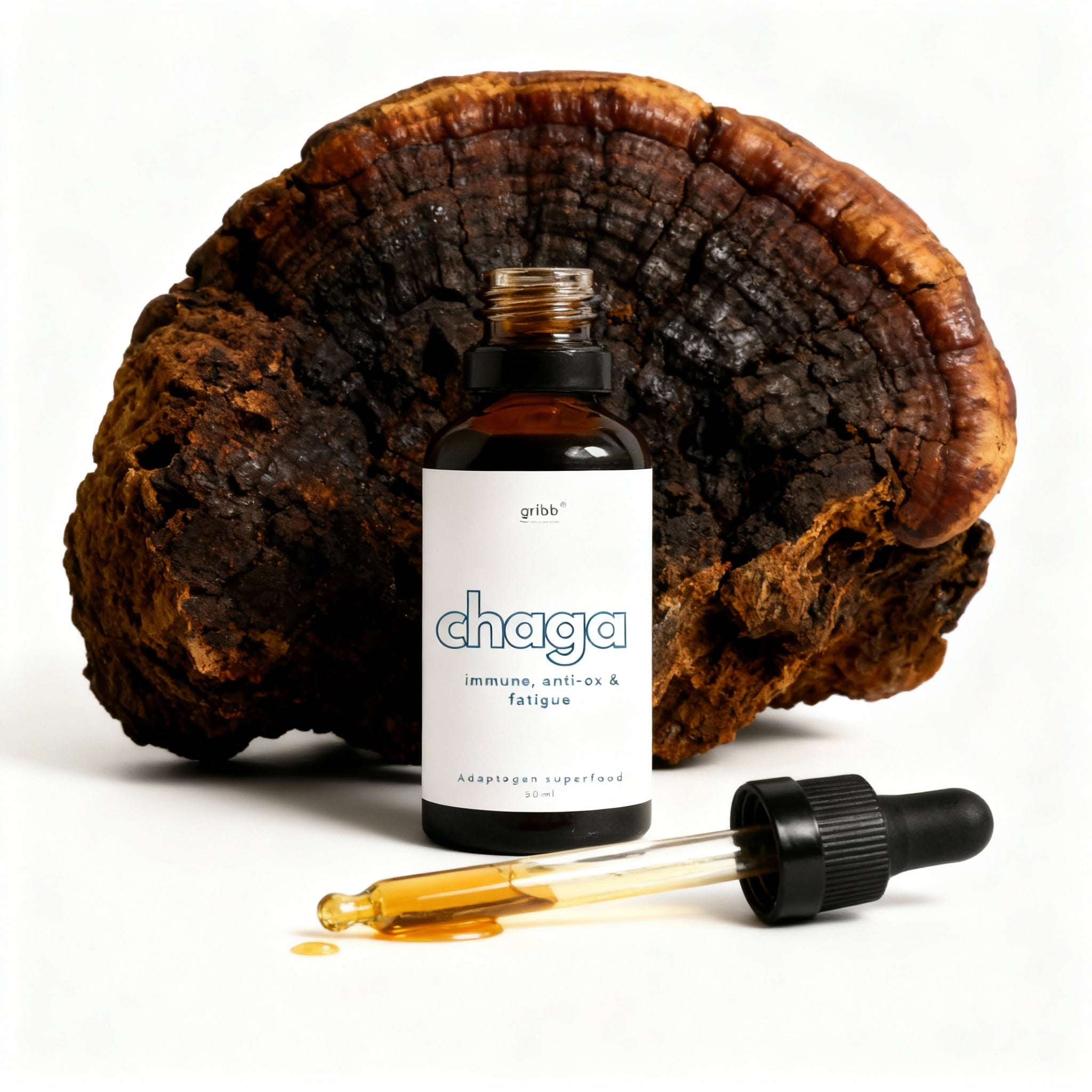 Chaga Mushroom Tincture