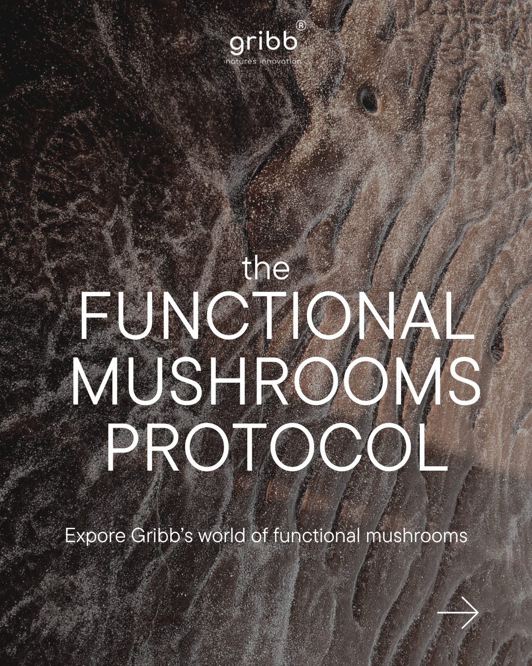 THE FUNCTIONAL MUSHROOM PROTOCOL