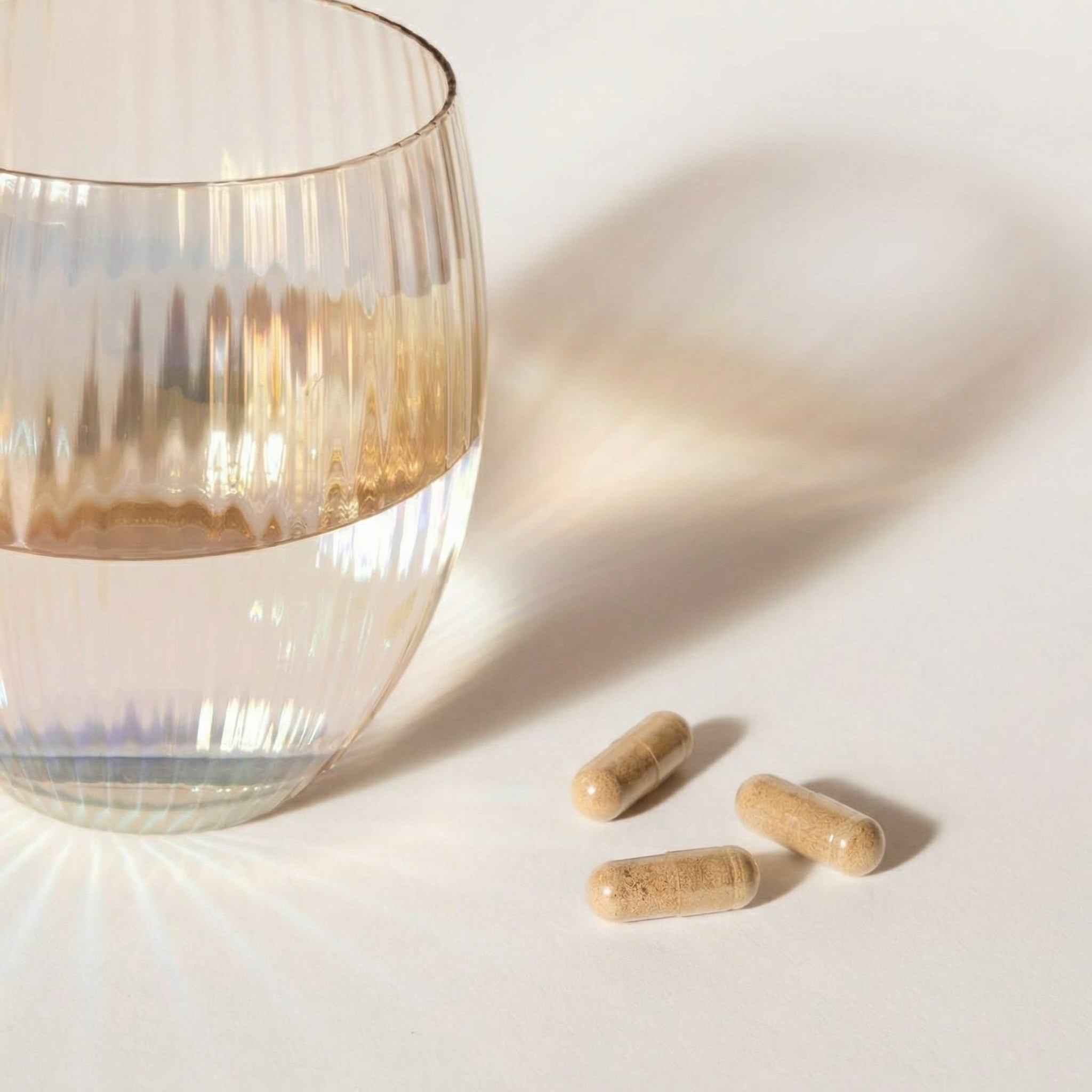 functional mushroom vegan capsules