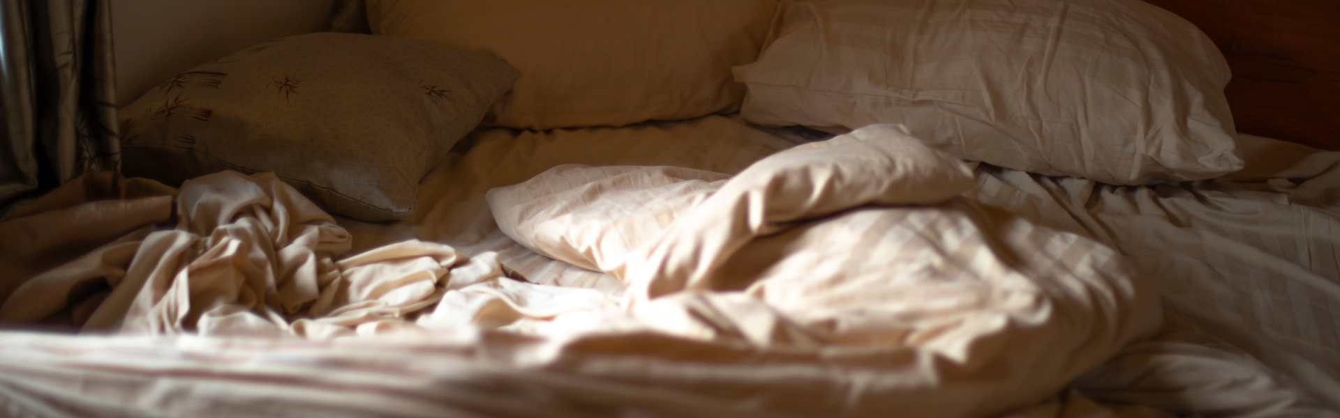 You're Not Bad at Sleeping. Your Nervous System Never Switches Off. (Reishi Helps.)