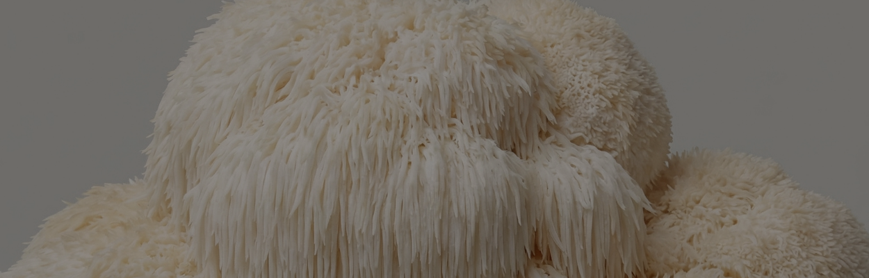 Lion's Mane Is the Most Researched Mushroom for Your Brain. Here's What the Science Actually Says.