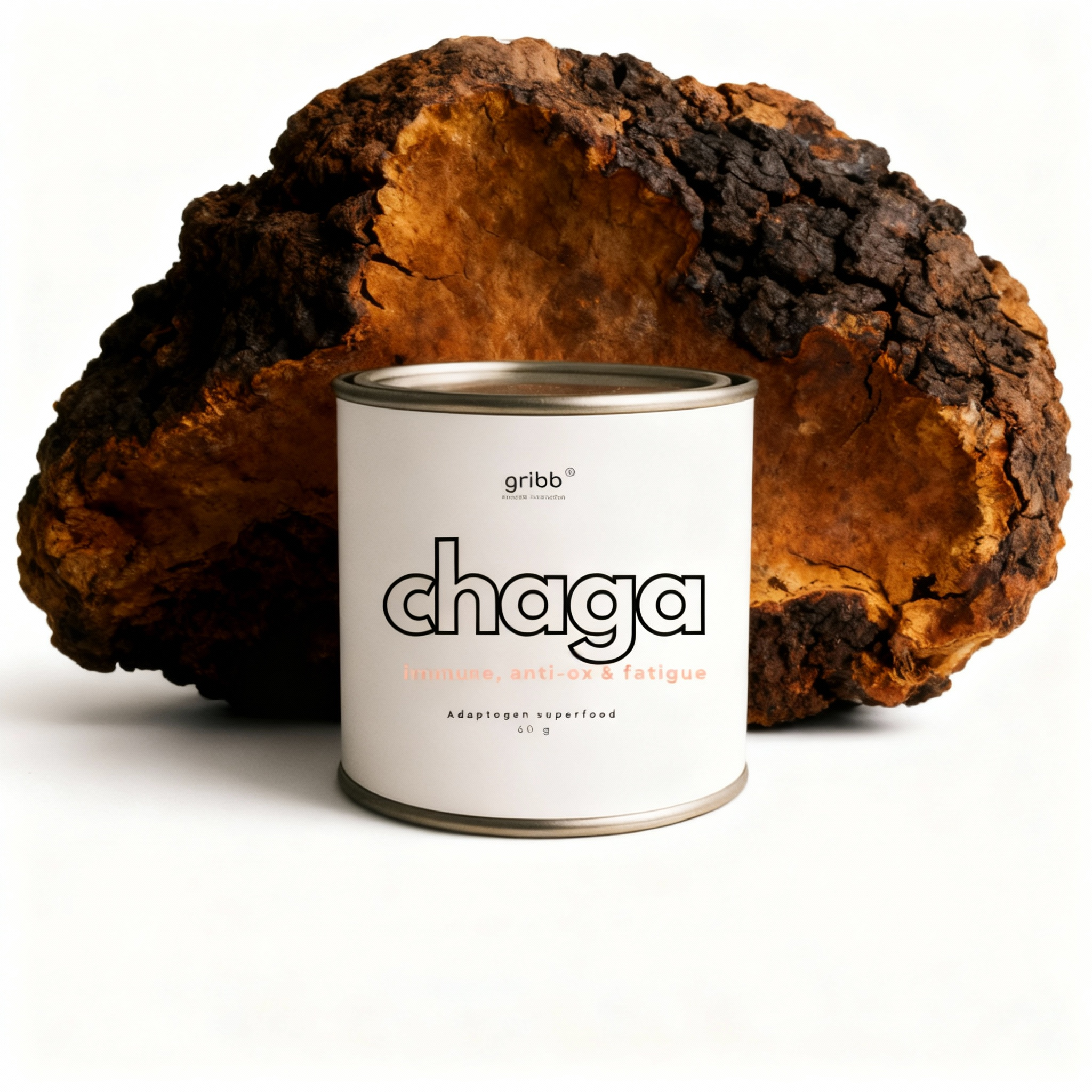Chaga