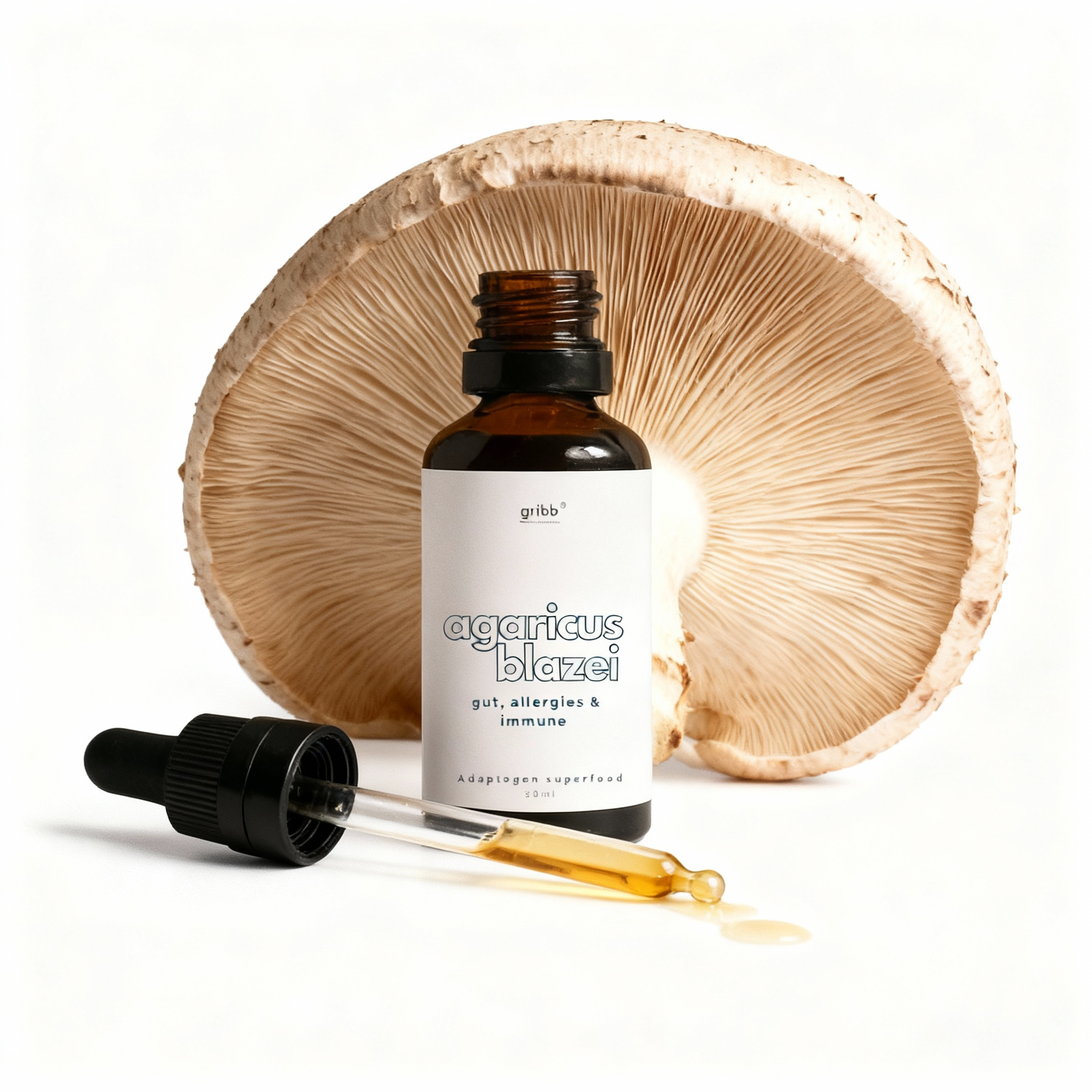  AGARICUS BLAZEI Extrato líquido