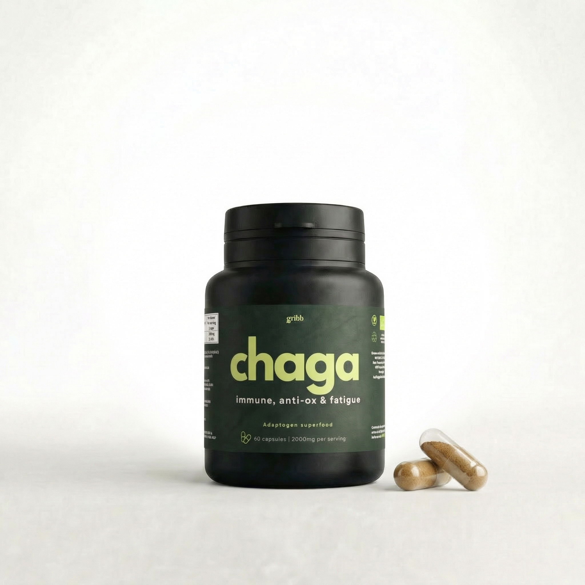 Chaga