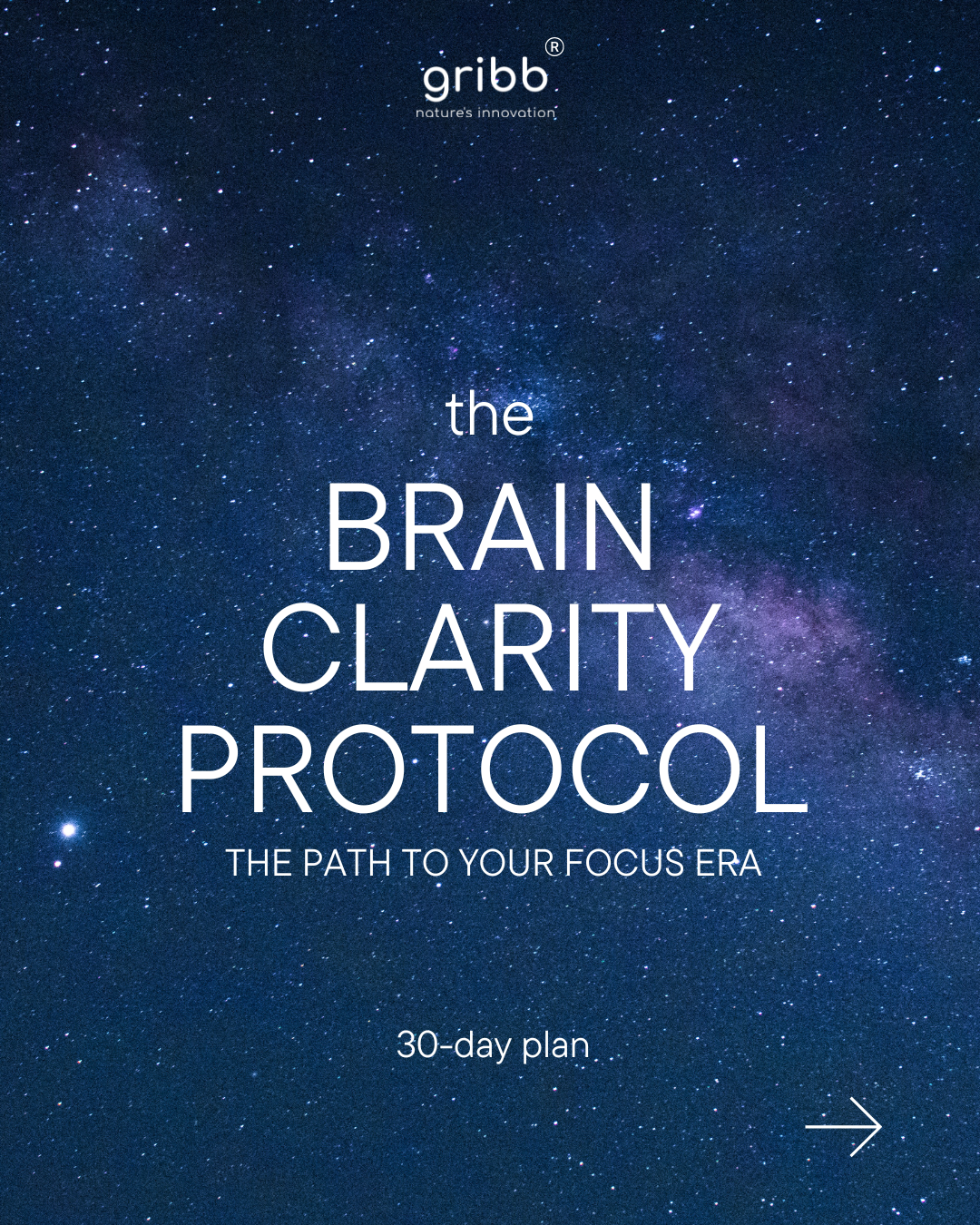 THE BRAIN CLARITY DIGITAL GUIDE