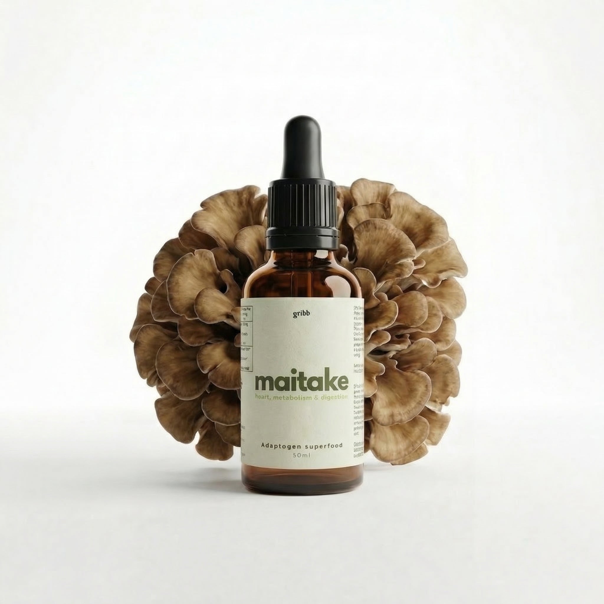 Maitake Tintura