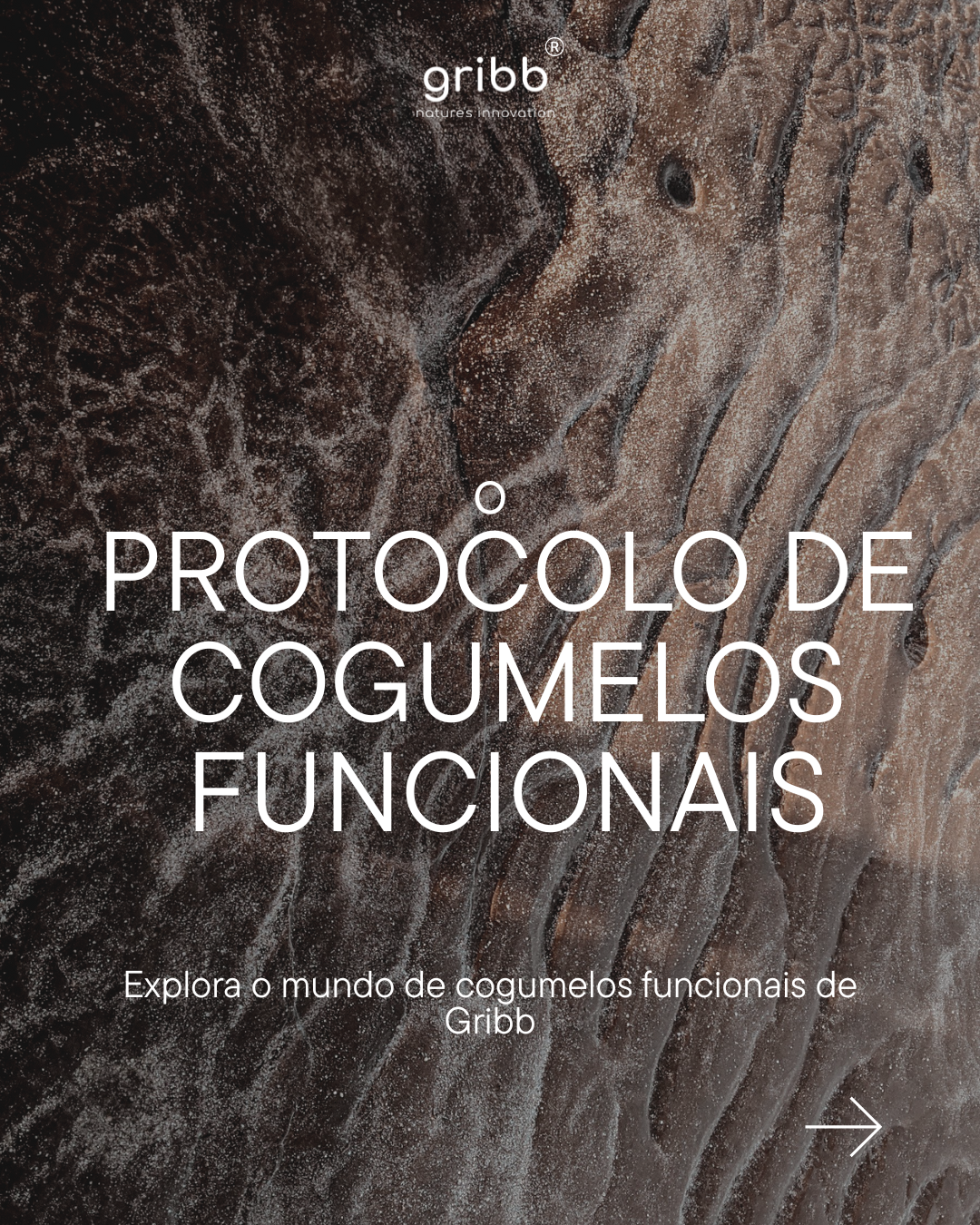 O PROTOCOLO DE COGUMELOS FUNCIONAIS