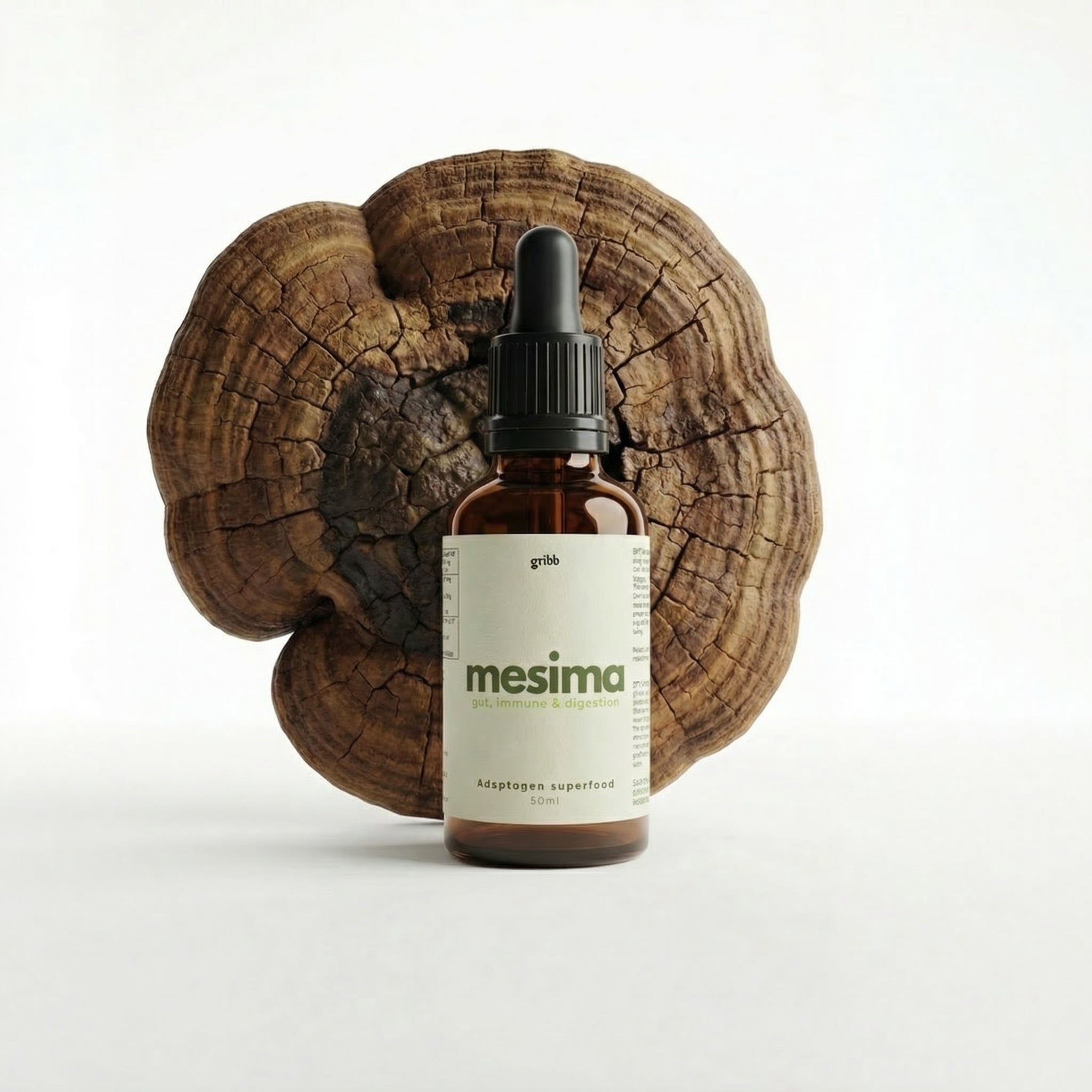 Organic Mesima Mushroom Tincture | Phellinus Linteus Double