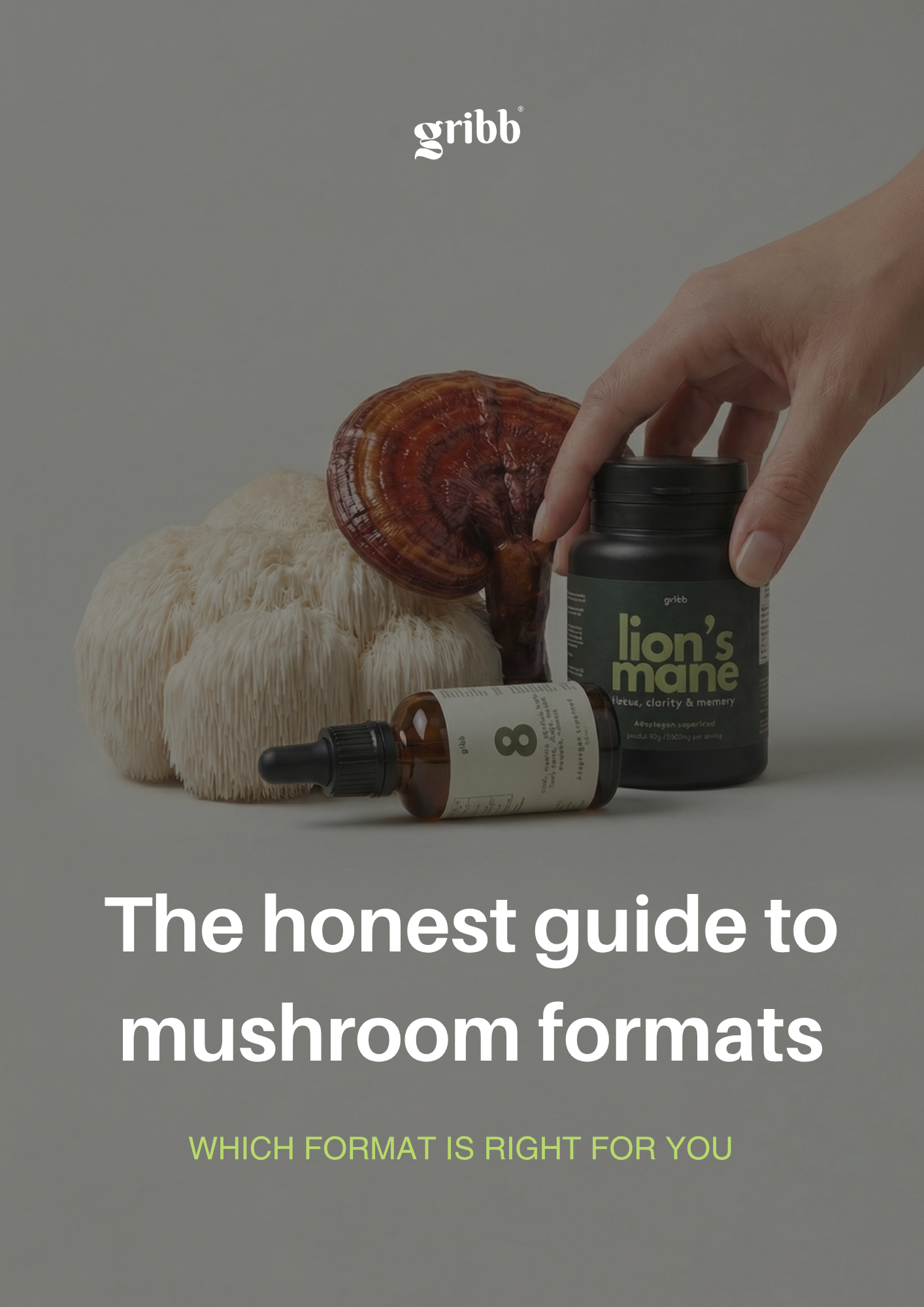 The honest guide to mushroom formats PDF